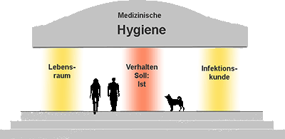 Hygienebasis