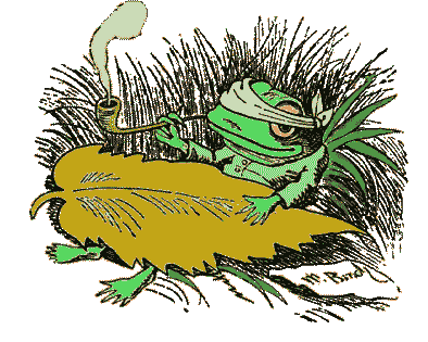 Bild-convalescent frog