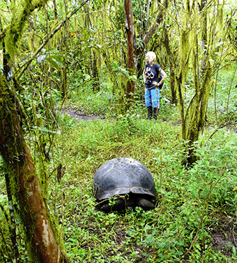 Bild-species-protection-show