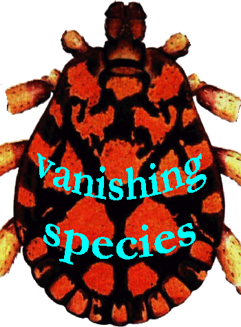 Bild-vanishing tick species