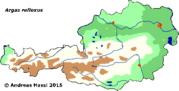 Bild-Verbreitung von A. reflexus