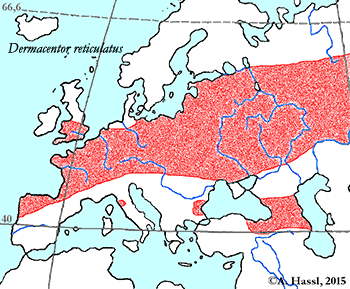 Bild-Verbreitung von D. reticulatus in Eu