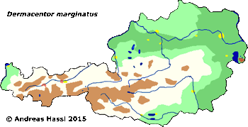 Bild-Verbreitung von D. marginatus