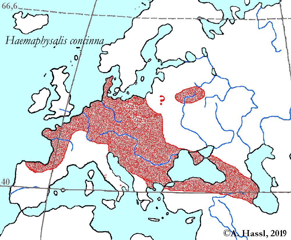 Bild-Verbreitung von H. concinna in Europa
