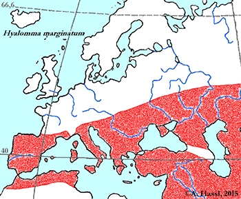 Bild-Hyalomma marginatum Verbreitung in Europa