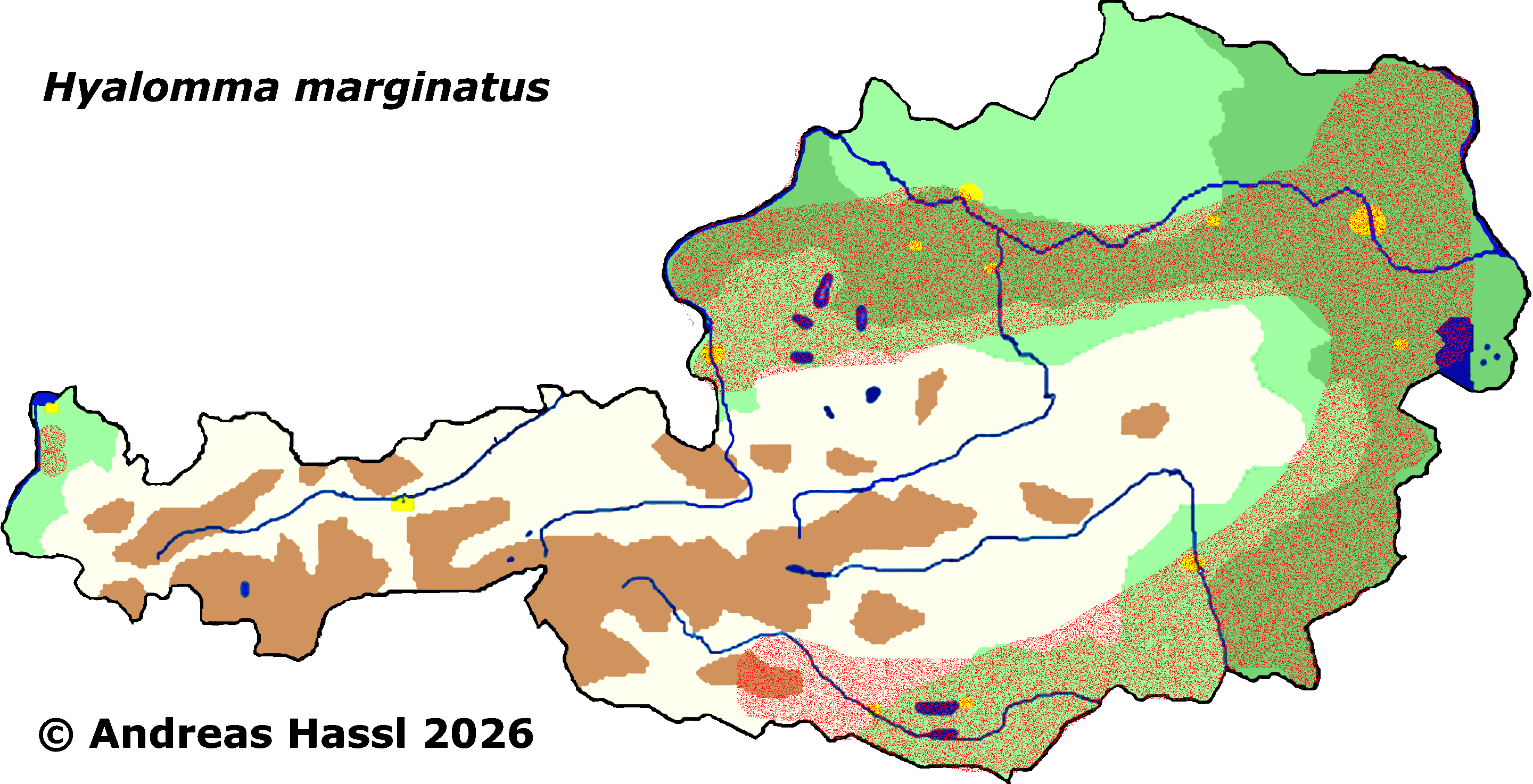 Bild-Verbreitung von H. marginatum