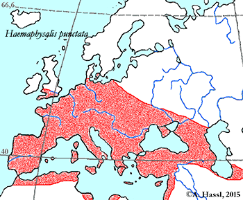 Bild-Verbreitung von H. punctata in Europa