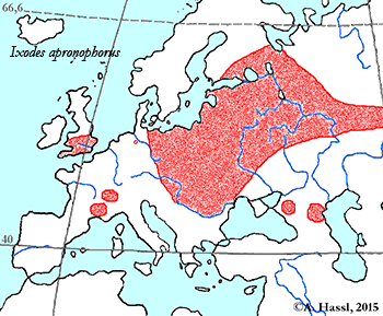 Bild-Verbreitung von I. apronophorus in Europa