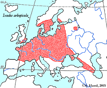 Bild-Verbreitung von I. arboricola in Europa