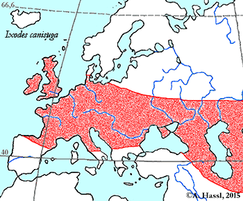 Bild-Verbreitung von I. canisuga in Europa