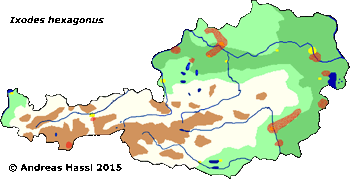 Bild-Verbreitung von I. hexagonus