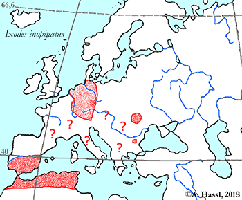 Bild-I. inopinatus Verbreitung in Europa