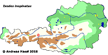 Bild-Verbreitung von I. inopinatus