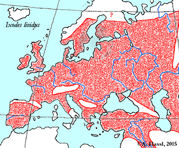 Bild-I. lividus Verbreitung in Europa