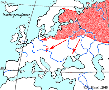 Bild-I. persulcatus Verbreitung in Europa