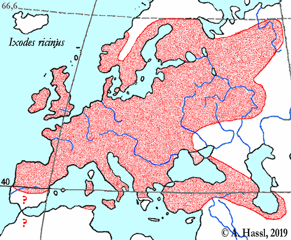 Bild-Verbreitung von I. ricinus in Europa