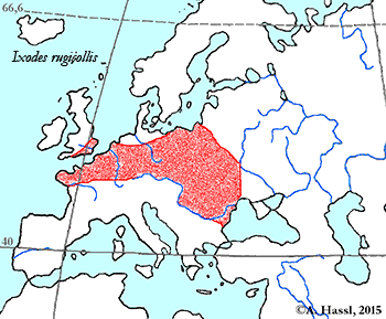 Bild-Verbreitung von I. rugicollis in Europa