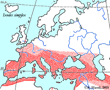 Bild-Verbreitung von I. simplex in Europa