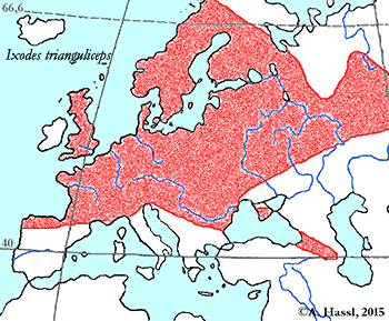 Bild-Verbreitung von I. trianguliceps in Europa