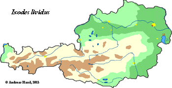 Bild-Verbreitung von I. lividus