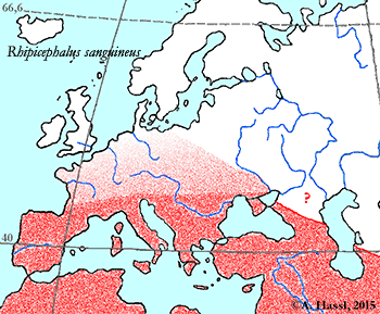 Bild-Verbreitung von Rhipicephalus sanguineus in Europa