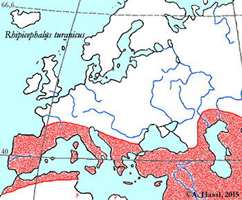 Bild-Verbreitung von Rhipicephalus turanicus in Europa